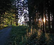 CANTIENICA - Studio Freiburg - Das Gstebuch